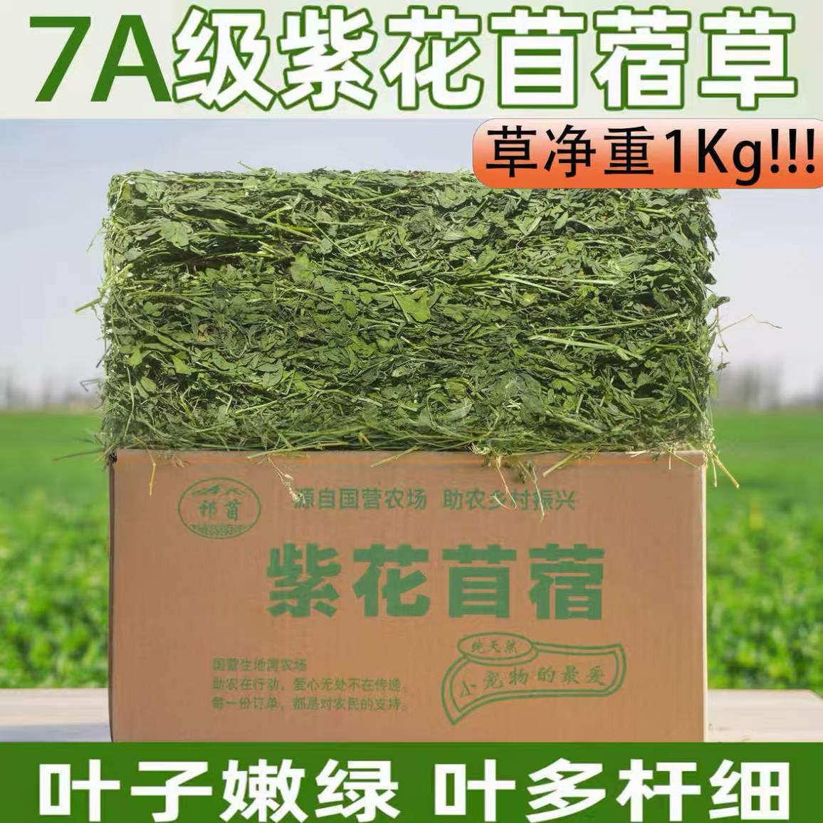 7A级紫花苜蓿草兔子豚鼠龙猫仓鼠粮天然牧草