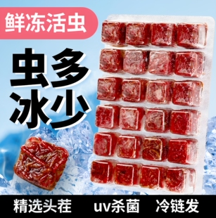 冻干红虫鱼食赤线虫大中小型热带鱼观赏鱼锦鲤蝴蝶鲤蝾螈专用鱼食