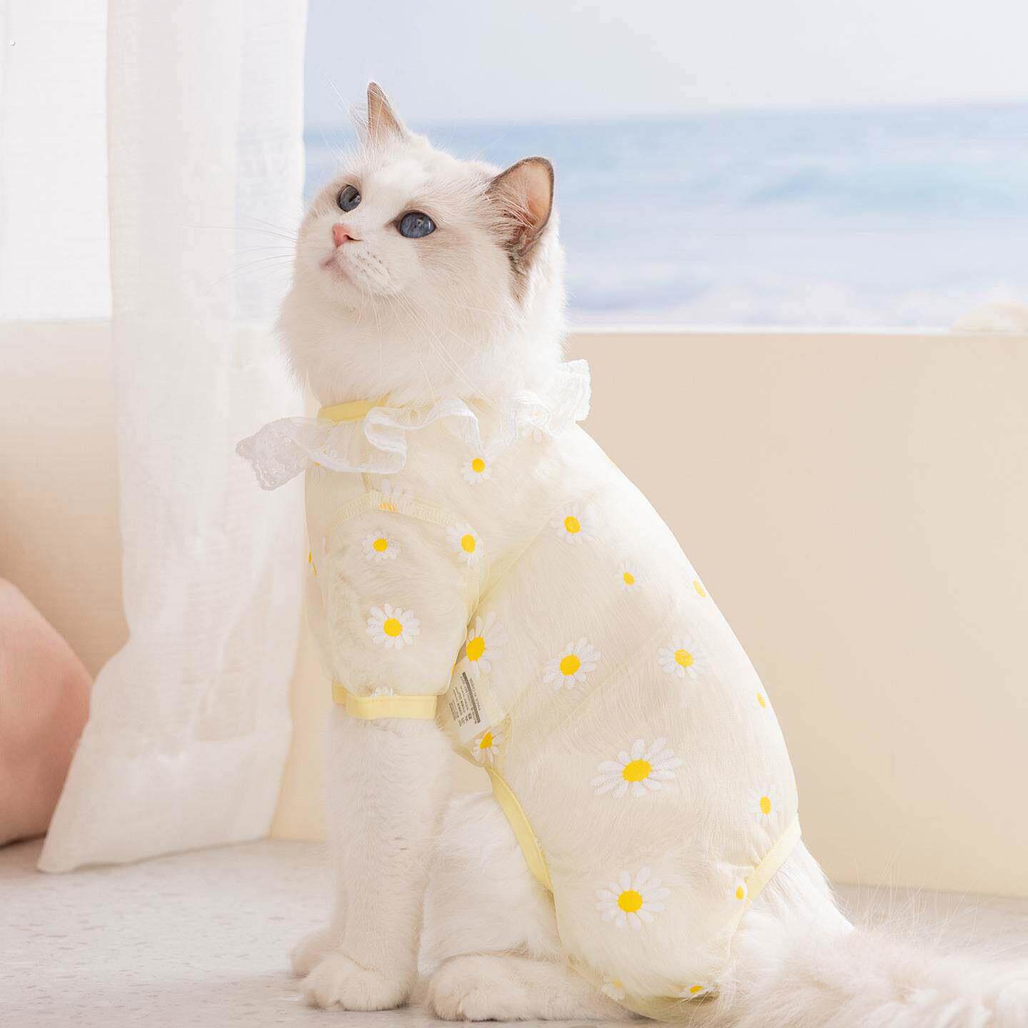 猫咪衣服夏季满印透气网纱四脚衣狗狗防掉毛睡衣柔软舒适家居服