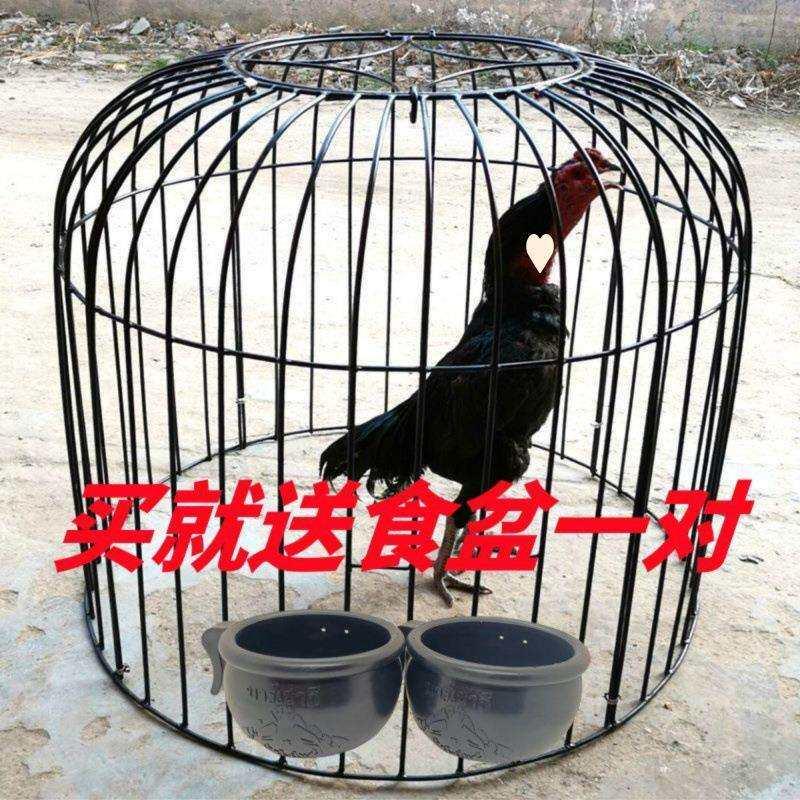 斗鸡笼子斗鸡罩笼加大号斗鸡保温罩大号斗鸡笼子一件工厂厂家直销