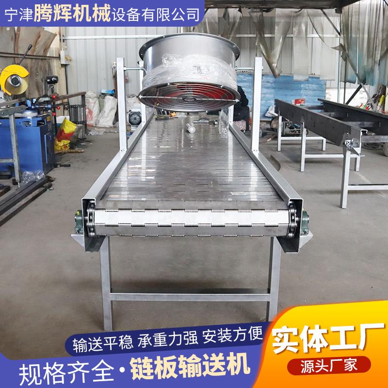 链板输送机加工机床排屑板链工业输送链板流水线不锈钢链板传送机