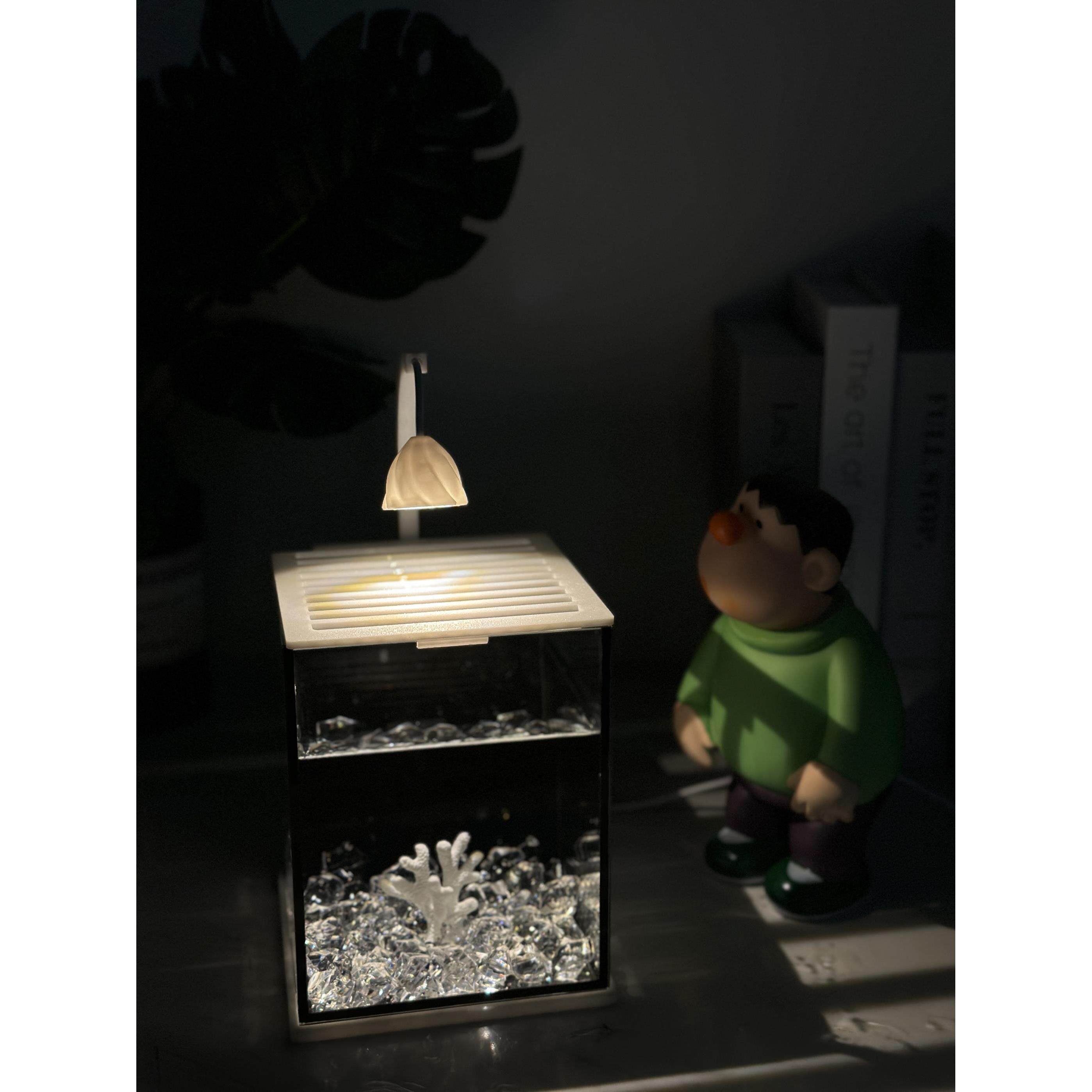 斗鱼海星专适用玻璃小型创意造景桌面观赏小夜灯装饰生态养鱼缸