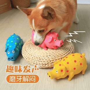 狗狗玩具乳胶发声怪叫猪猪耐磨耐咬填充乳胶刺猪磨牙宠物玩具