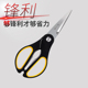办公轻便剪 园艺修花剪 厨房家用剪锋利耐用 剪刀 不锈钢家用老式