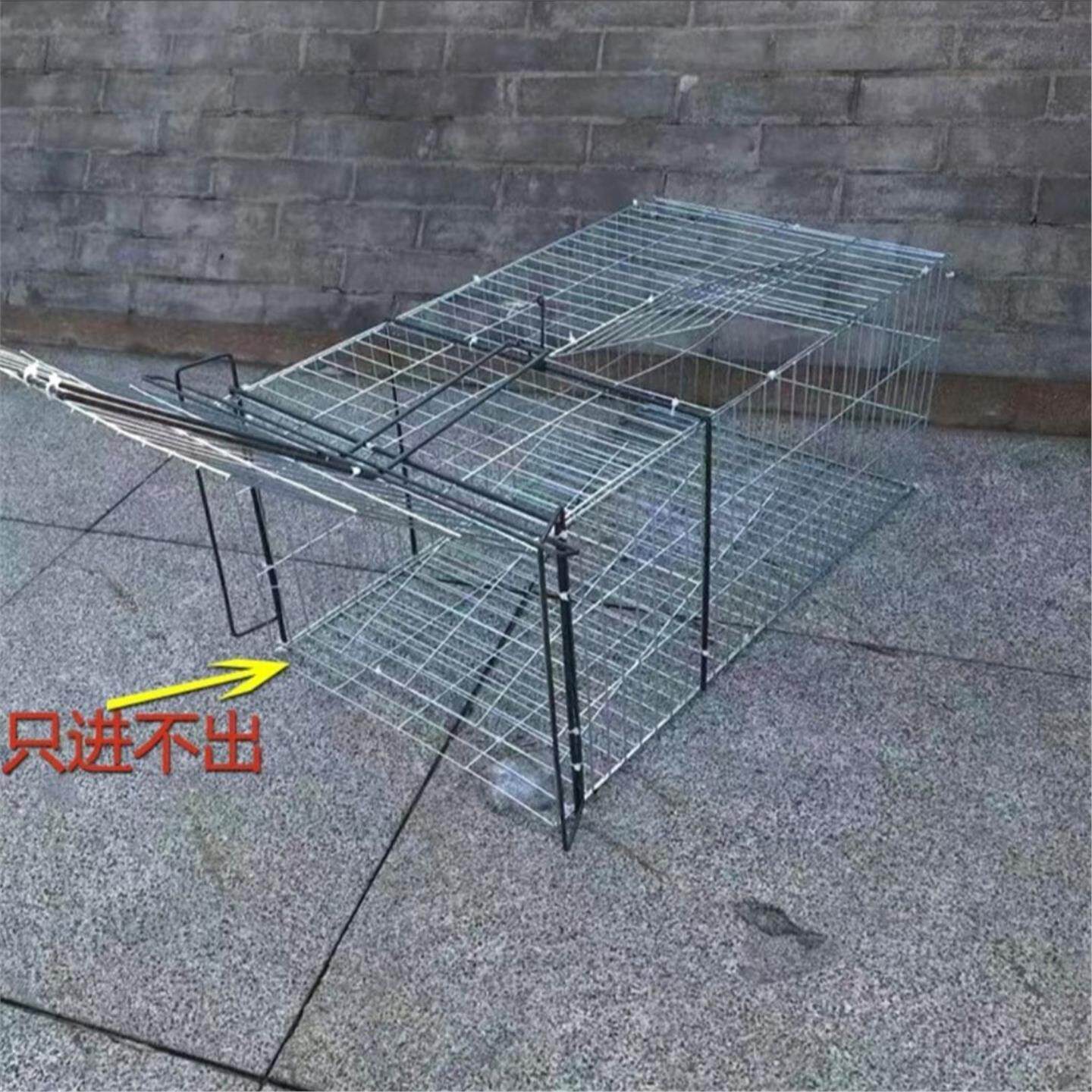 加密捕猫抓笼户外养殖防锈