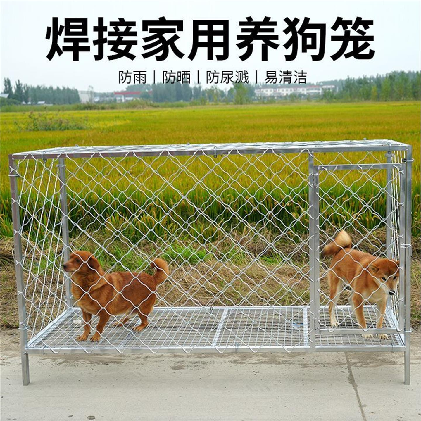 带狗一整套落地跑定制栅栏