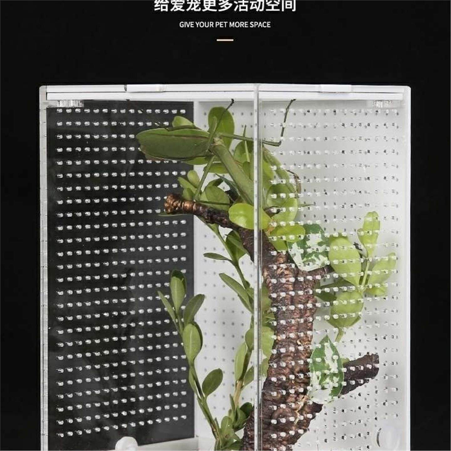 亚克力饲养螳螂爬虫蝈蝈盒竹蜘蛛金属网蝎子鸣虫昆虫生态透明笼子