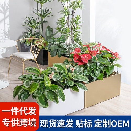 带轮自吸水隔断花箱与落地直塑种植盆大型绿植造景的实用花盆