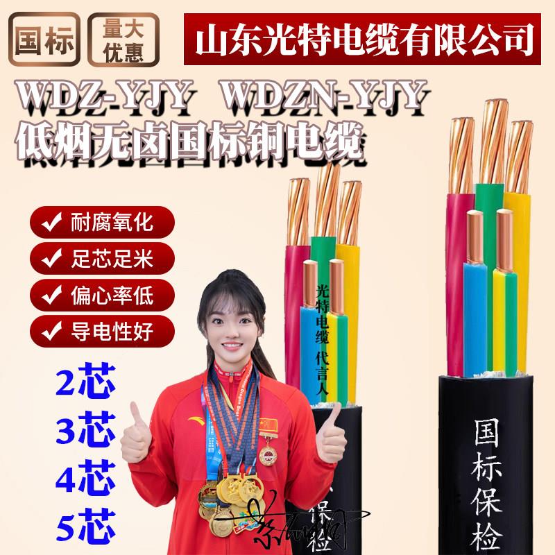 低烟无卤耐火WDZN国标铜芯YJY阻燃电缆线2/3/4/5芯35/16平方铜线