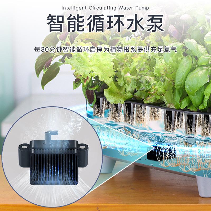 室内智能水培机智慧蔬菜种植机桌面带灯光种菜箱插电式菜园花盆