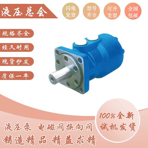 液压马达BM5/BM6/BM4/BM3/BM2/BM1/315/400/500/630/800/985 BM5W
