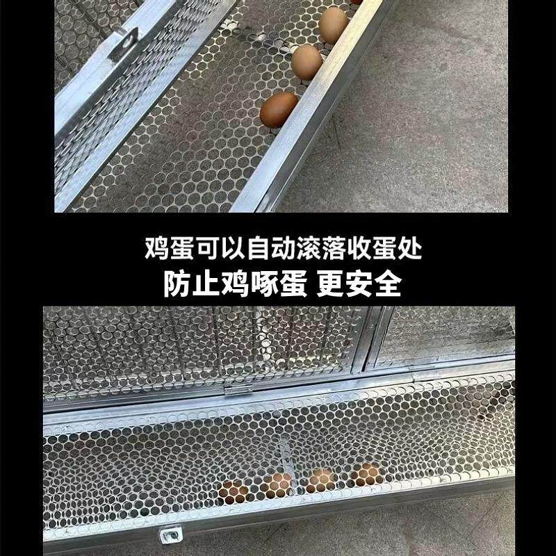 鸡笼子家用室外防雨自动收蛋防啄防黄鼠狼防鼠加厚不锈下蛋养殖笼
