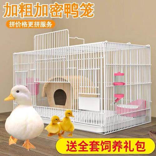 养芦丁鸡笼子饲养专用笼家用室内大号雏鸡雏鸭小鸭小鸡宠物笼加密