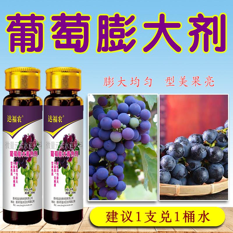 葡萄膨大着色剂拉长增甜膨大素夏黑茉莉香巨峰红提子专用叶面肥料