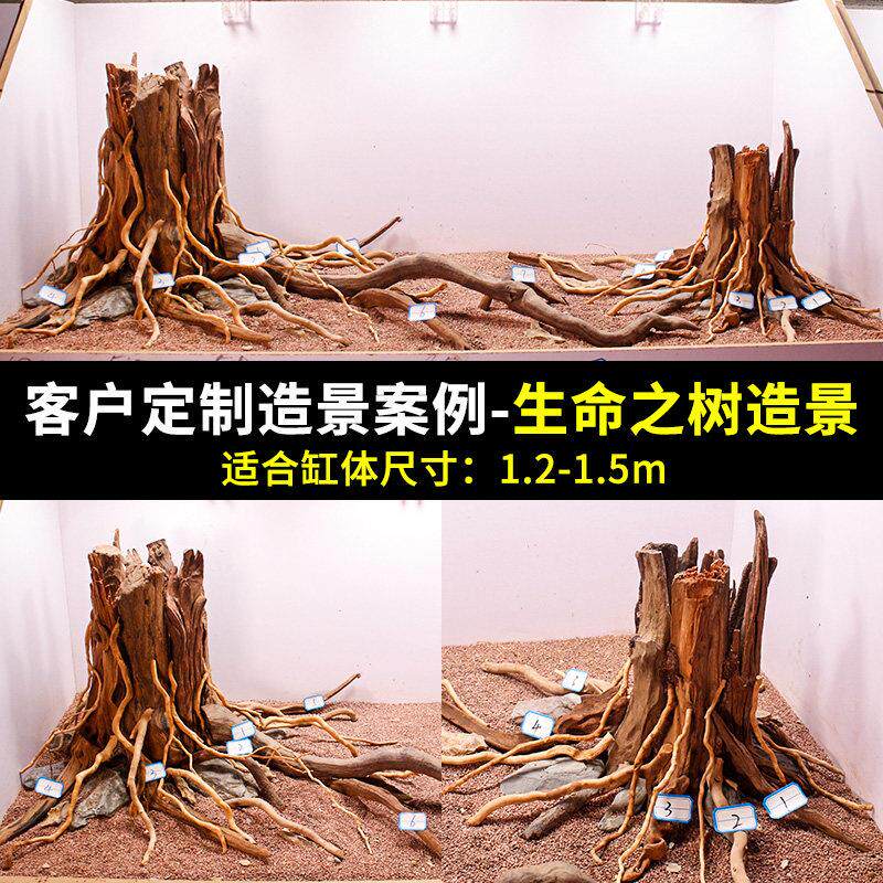 鱼缸造景沉木树桩生命之树骨架定制天然木头南美缸树根树洞紫柚木