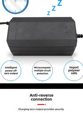 东升电动车充电器48V12AH20ah30ah40ah50ah60v72v20/32ah自动关机