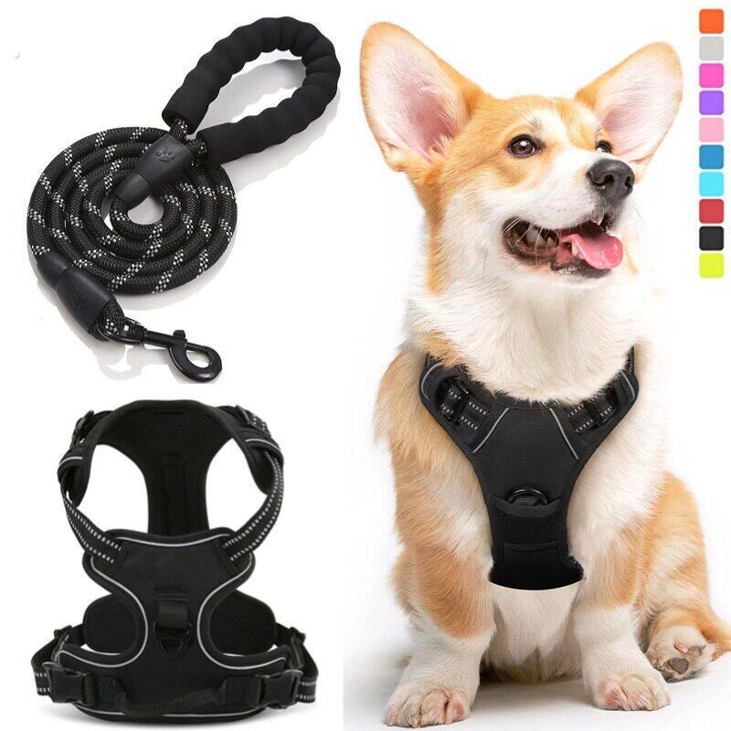 狗狗牵引绳宠物胸背尼龙狗绳大型犬胸抱婴袋宠物用品工厂