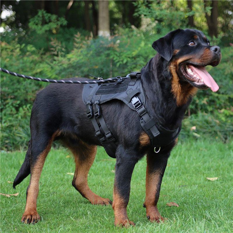 杜宾战术胸抱婴袋罗威那中大型犬牵引绳背心式德牧马犬衣服外出遛