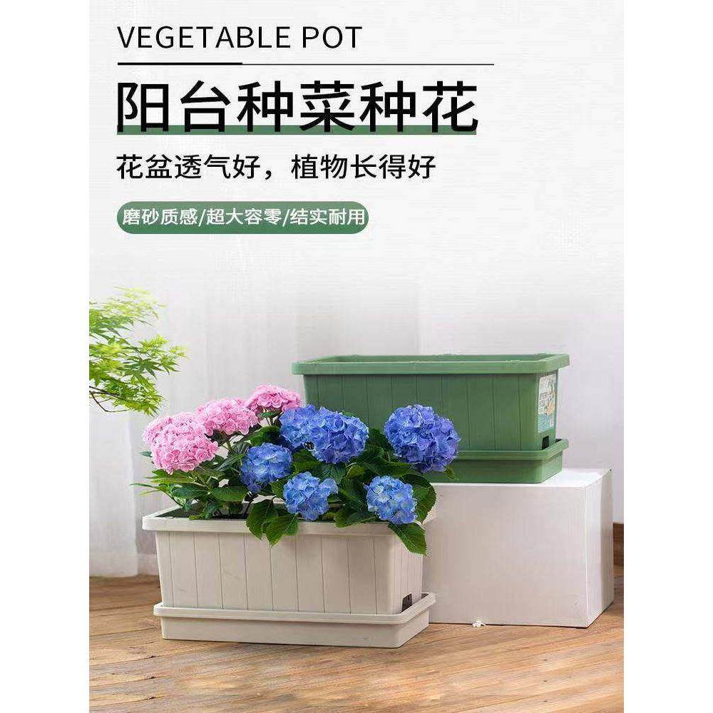 户外阳台种菜盆专用箱长方形自吸水蔬菜种植盆草莓盆栽树脂大花盆