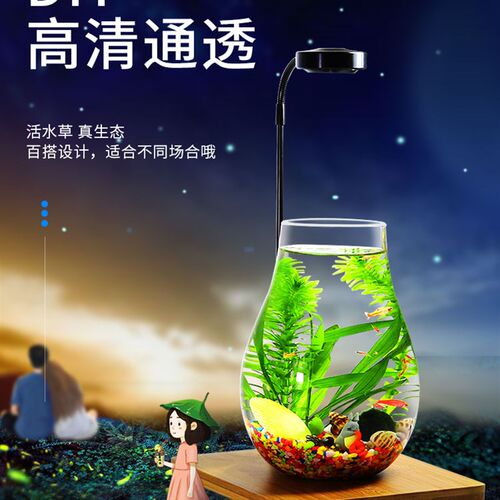 带LED灯迷你水族箱创意diy生态瓶鱼微景观办公桌面小型玻璃鱼缸