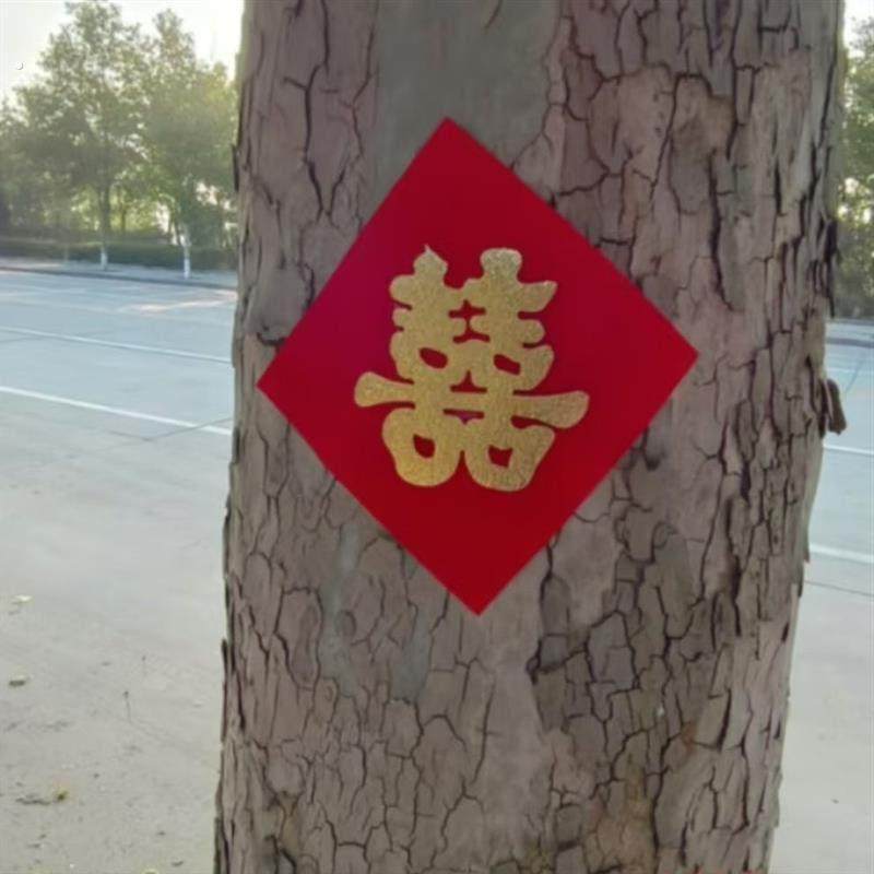 结婚压井盖喜字贴树植绒无纺布大红纸贴墙路引小喜字带胶自粘街囍,节庆用品/礼品,喜字/剪纸/贴纸,淘宝优惠券,粉丝福利购,淘宝优惠卷