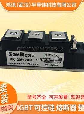 三社可控硅模块PK40F160 PK55FG160 PK110F-160 PK200HB160晶闸管