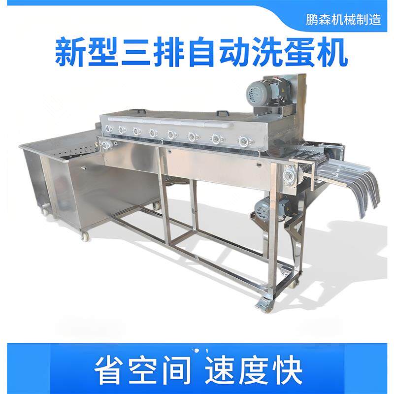 全自动麻酱鸡蛋咸鸭蛋松花蛋商用大型三排六排洗蛋机蛋类加工设备