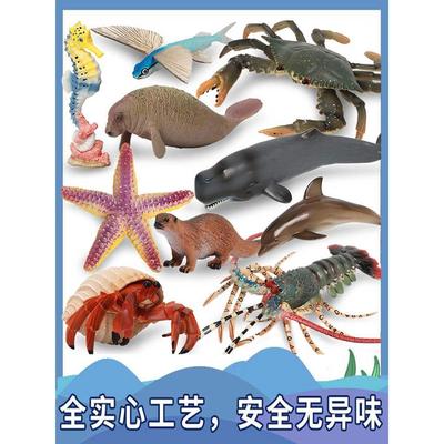 单一模拟动物海洋模型固体海底生物龙虾寄居蟹水母海星鲨鱼蓝鲸
