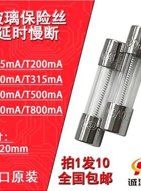 玻璃保险丝管T125/200/250/315/400/500/630/800mAL250V延时进口