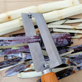 菠萝刀削皮器去眼器菠萝夹子去眼夹凤梨专用刀菠萝神器菠萝去眼器