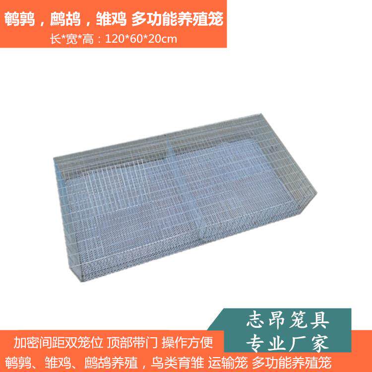 两笼位育雏笼 肉鹌鹑鹧鸪雏鸡养殖笼 鸟育雏 运输笼 多功能养殖笼