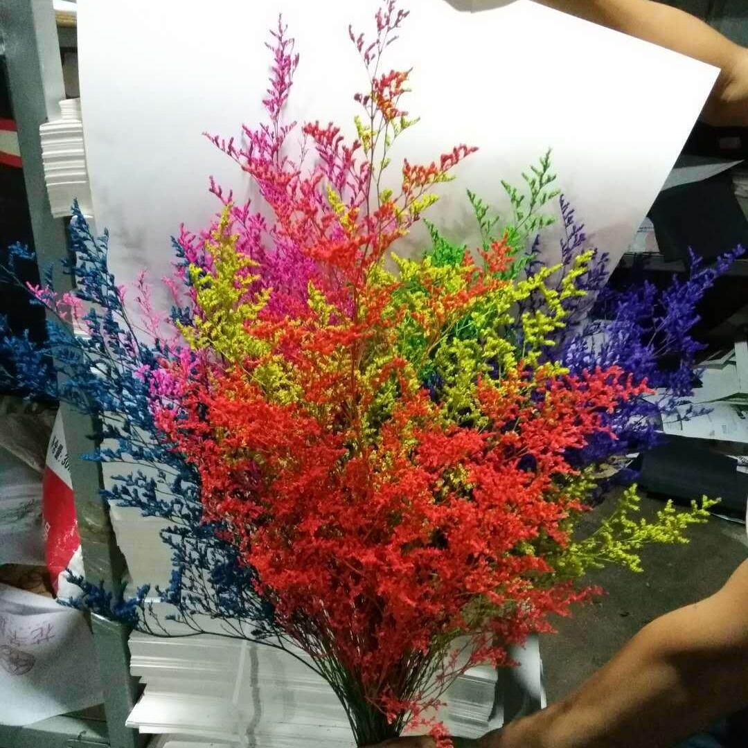 干花染色鲜花花束永生花花卉