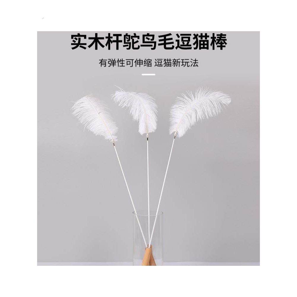 伸缩逗猫棒长杆羽毛猫咪自嗨逗猫杆猫玩具宠物猫用品,宠物/宠物食品及用品,逗猫棒,淘宝优惠券,粉丝福利购,淘宝优惠卷