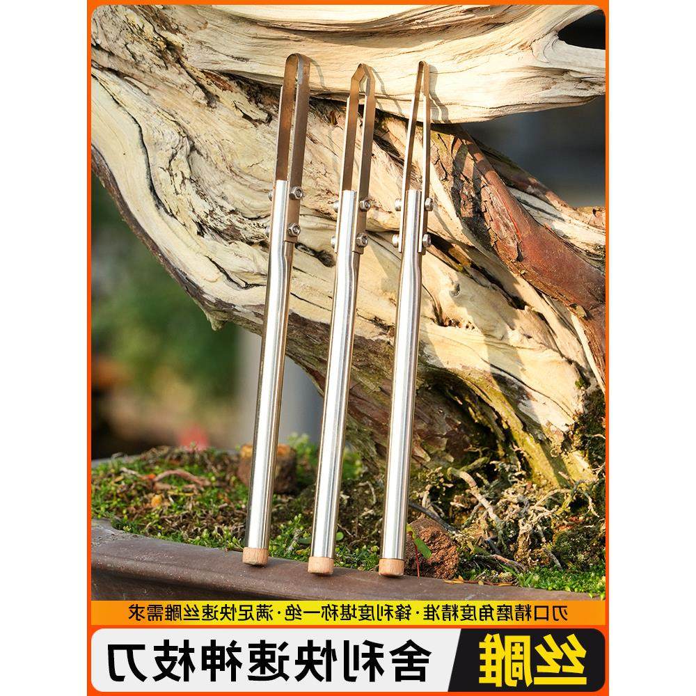 鼎木盆景造型制作拉丝刀勾刀雕刻刀挑刀舍利干流水线神枝丝雕工具,鲜花速递/花卉仿真/绿植园艺,其它园艺用品,淘宝优惠券,粉丝福利购,淘宝优惠卷