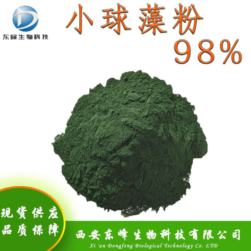 现货供应98%小球藻粉 蛋白核小球藻粉品质保障包邮破壁小球藻粉