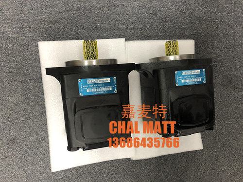 供应丹尼逊DENISON油泵 T6DMB243R00C1