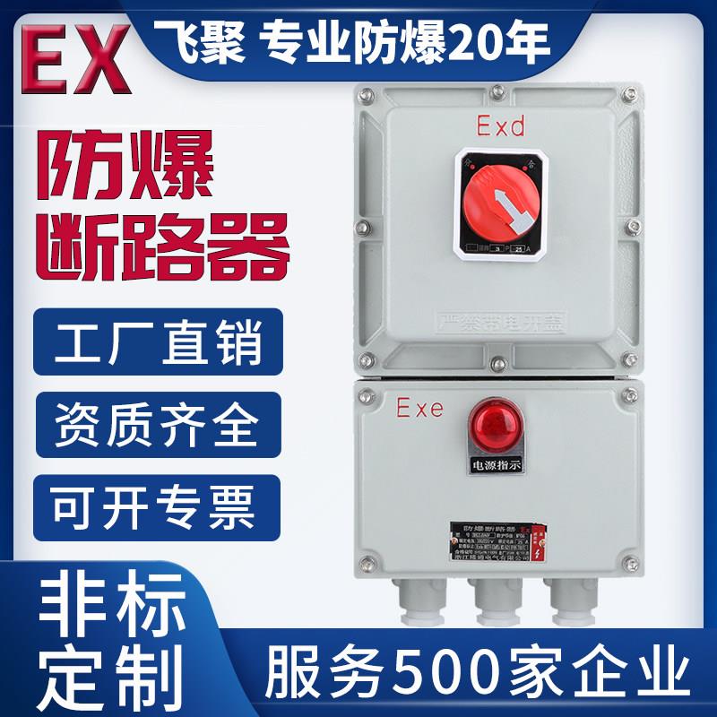 防爆断路器 漏电断路器BDZ52-3P/4P 32A40A60A100A防爆空气开关