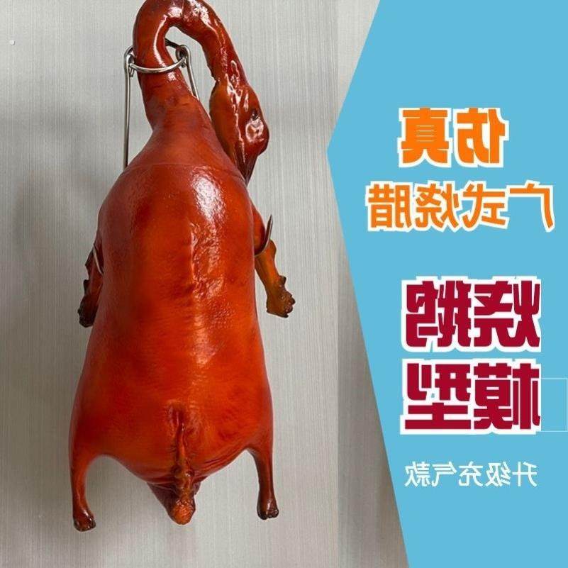 仿真广式烧腊模型烧鹅仔烤乳鸽叉烧肉烧鸭道具橱窗挂饰无味不变色,鲜花速递/花卉仿真/绿植园艺,仿真果蔬,淘宝优惠券,粉丝福利购,淘宝优惠卷