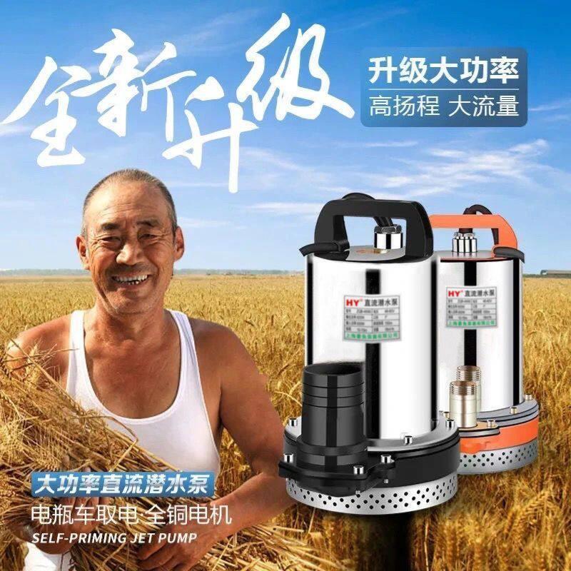 直流潜水泵电动车抽水机12V24V48V60V72伏高扬程大流量家用拉伸款