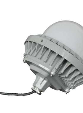 SZSW7135-30 LED工作灯SZSW7135-50F LED应急工作灯SZSW7135-30Q