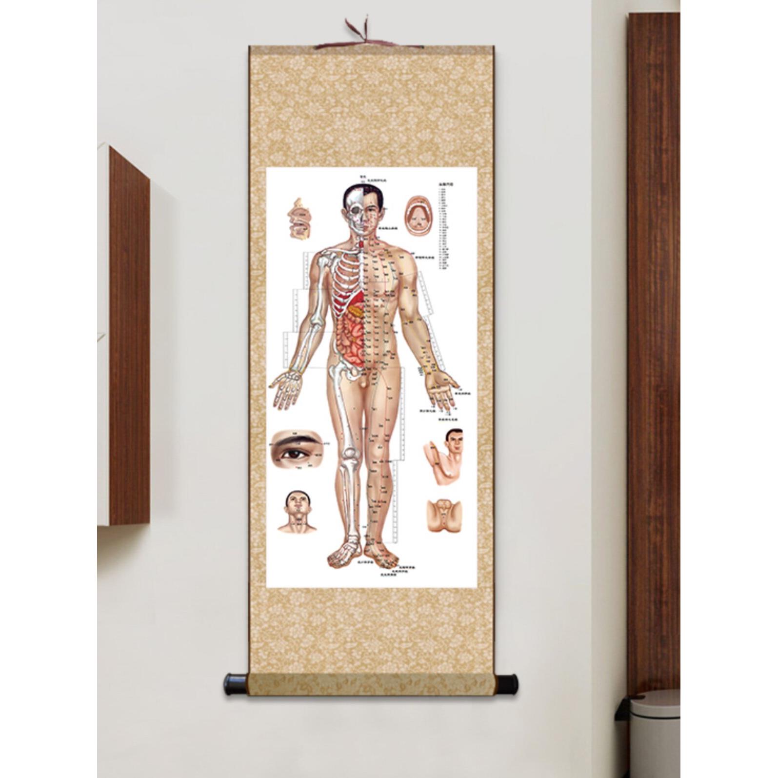 人体穴位图中医养生美容院诊所经络图针灸图装饰画挂画丝绸画卷轴