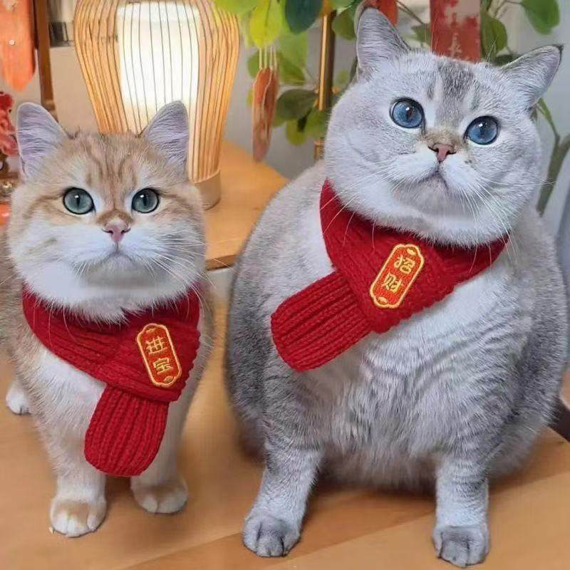 猫咪围脖小狗可爱项圈毛线宠物围巾围兜狗狗保暖配饰红色喜庆新年,宠物/宠物食品及用品,围巾/口水巾,淘宝优惠券,粉丝福利购,淘宝优惠卷