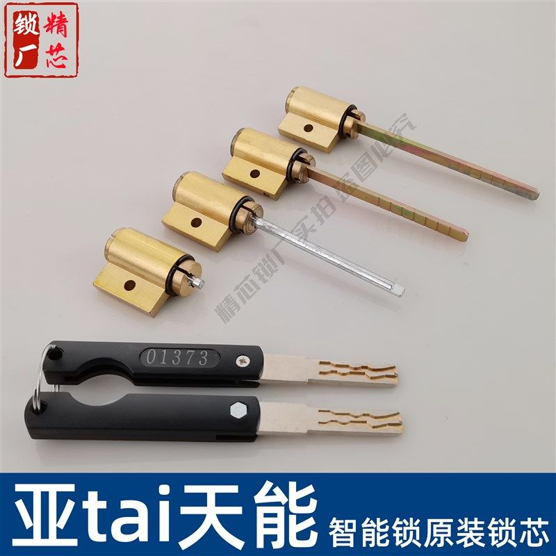 适用于亚太天能智能锁指纹锁锁芯锁头扁杆单孔异形应急锁芯