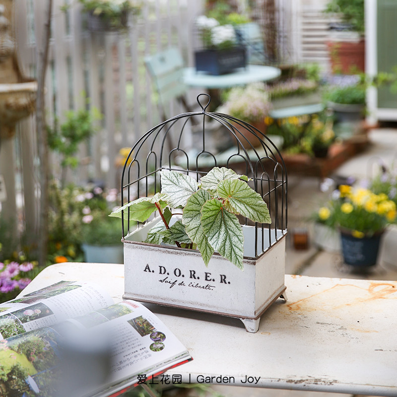 爱上花园丨园艺杂货 铁艺花盆花桶挂件摆件 可悬挂四足鸟笼花盒,鲜花速递/花卉仿真/绿植园艺,花篮,淘宝优惠券,粉丝福利购,淘宝优惠卷
