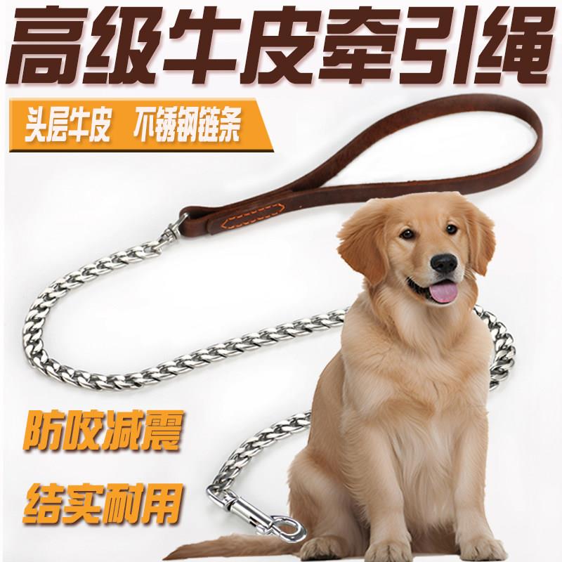 304不锈钢狗牵引绳防咬真皮遛狗铁链子小型中大型犬金毛柯基狗绳