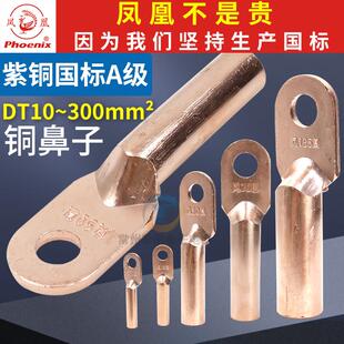 凤凰国标铜鼻子DT接线端子堵油式10接头压电线电工紫铜鼻头16平方