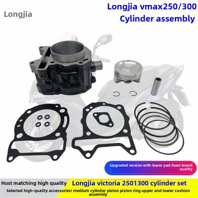 适用龙嘉维多利亚sixties300i/XDV250 VMAX300套缸中缸活塞活塞环