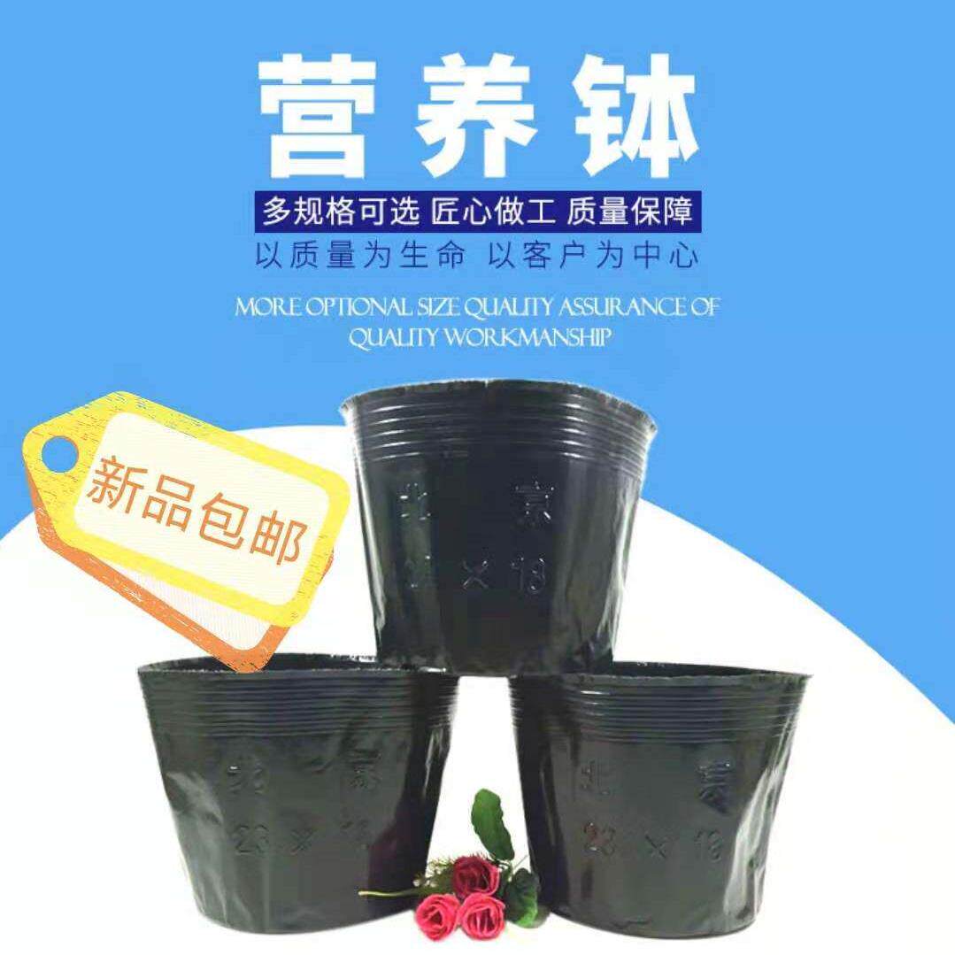 花卉一次性黑色塑料营养钵大号园艺育苗杯花盆育苗袋器加厚可订制