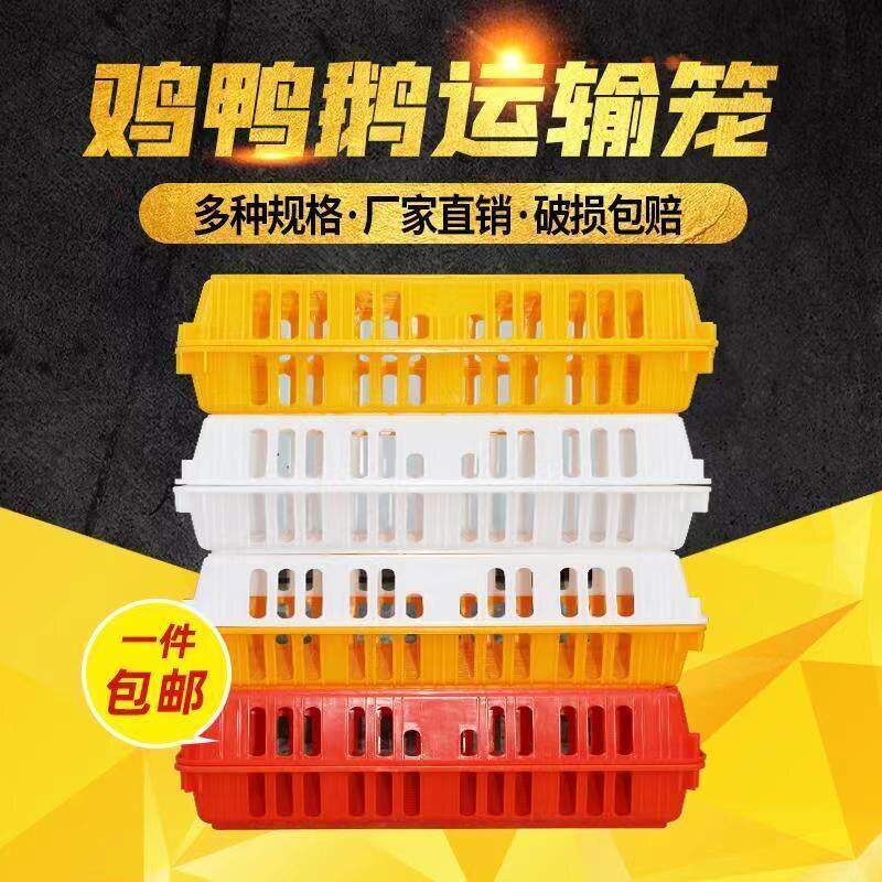 成鸡箱胶笼运输笼周转鸽子框塑料筐鸡笼子运输箱周转筐周转鸡笼a