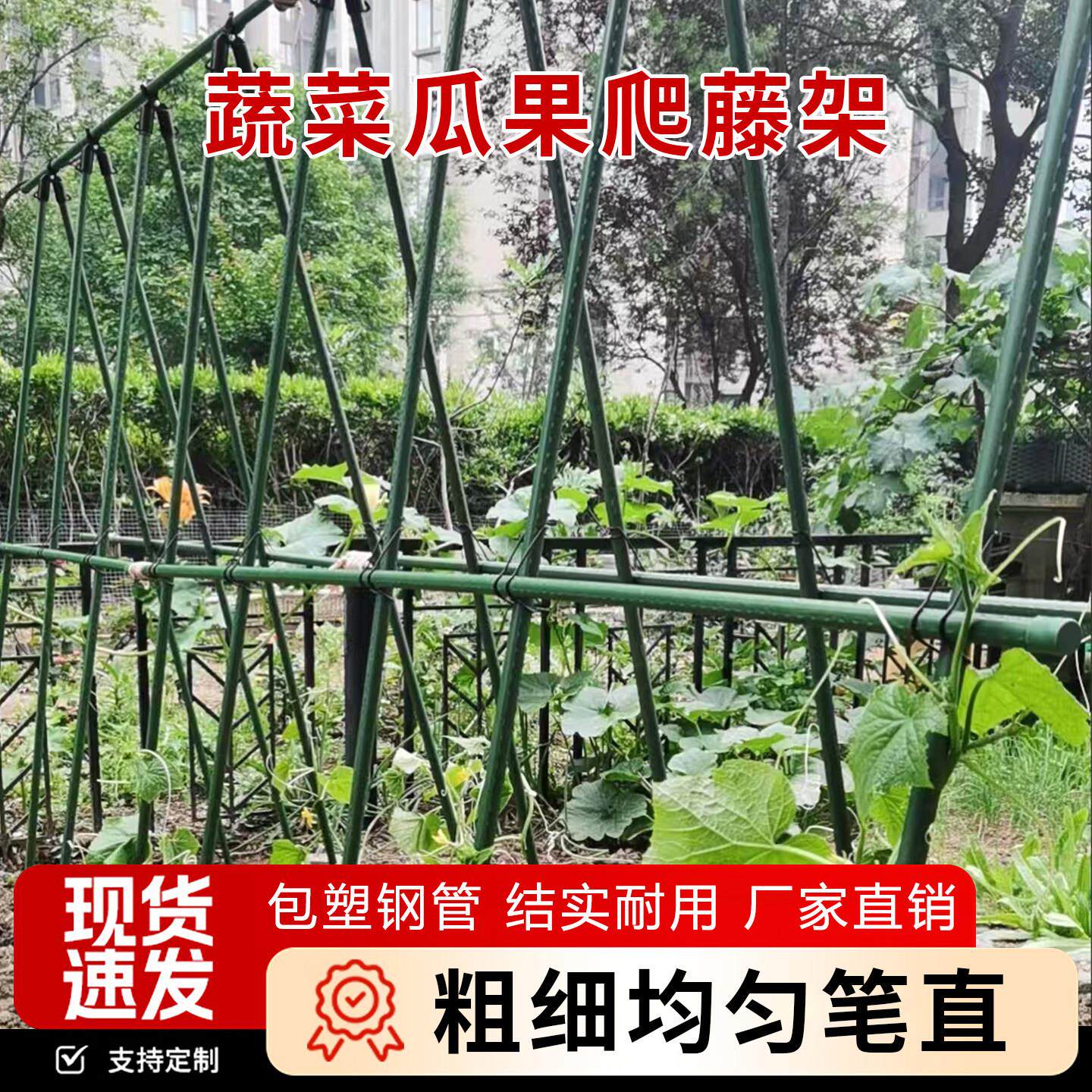 室外庭院用爬藤架花卉瓜果植物攀爬支撑架番茄瓜果固定架包塑钢管